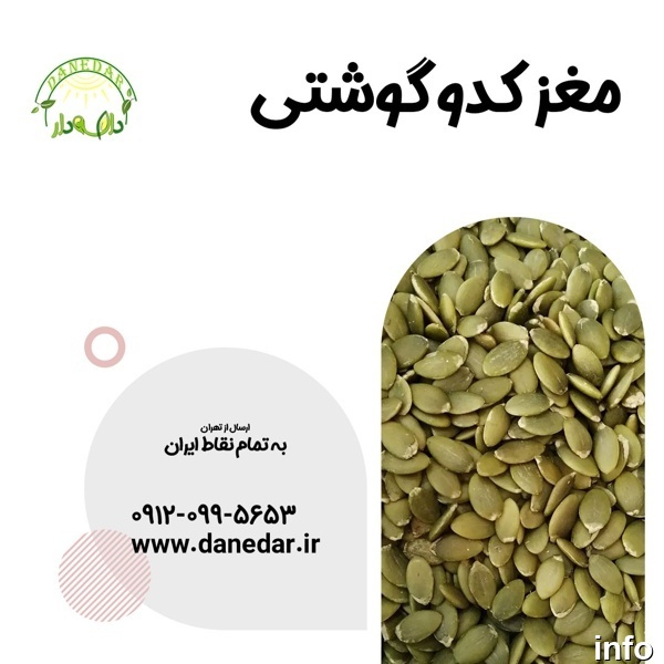 فروش عمده مغز تخمه کدو_9