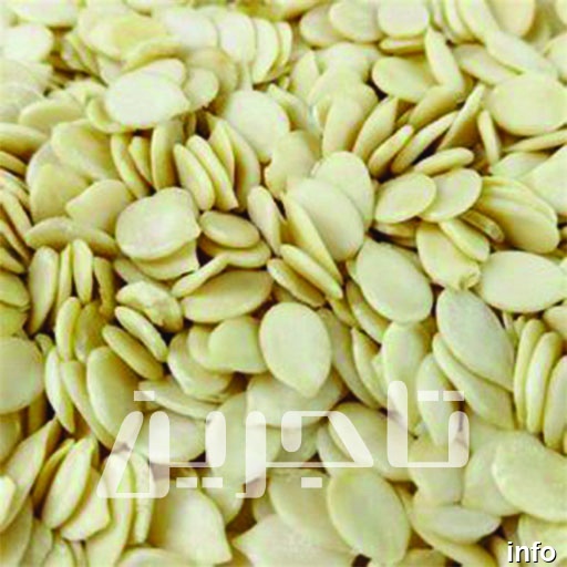 فروش مغز تخمه هندوانه_9