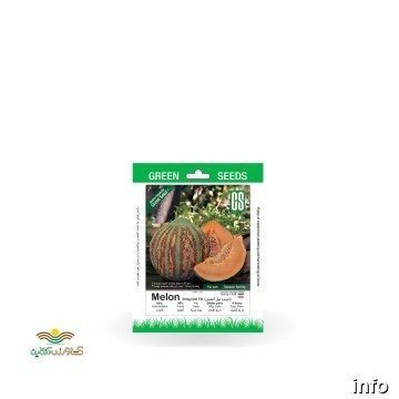 قیمت بذر تخمه ژاپنی_10