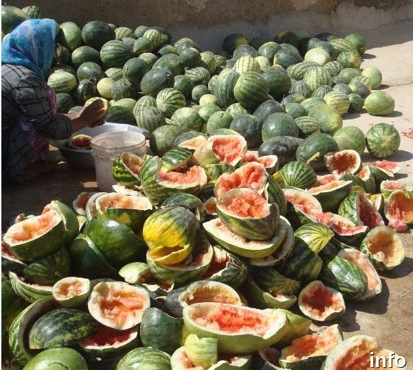 قیمت بذر تخمه ژاپنی_4