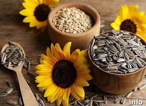 قیمت تخمه آفتابگردان اس ۴۰۰_7