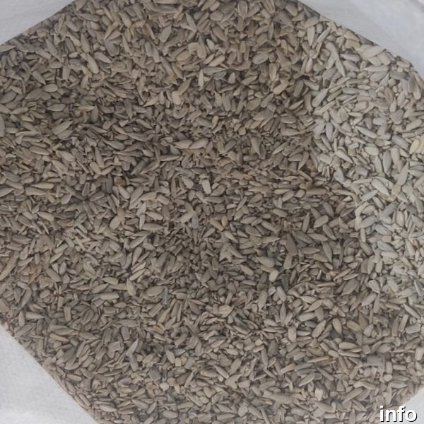 قیمت تخمه آفتابگردان برای روغن گیری_5