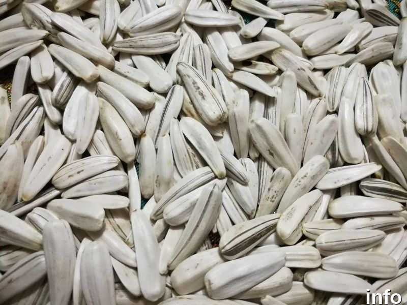 قیمت تخمه آفتابگردان رژیمی_10