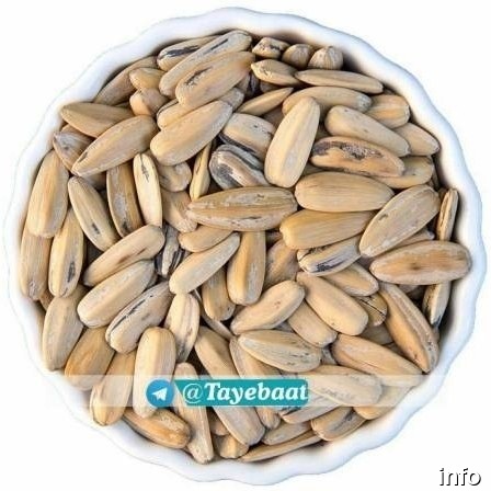 قیمت تخمه آفتابگردان سقز_7