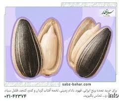 قیمت تخمه آفتابگردان عمده_1