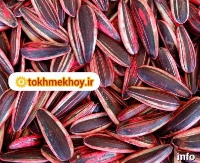 قیمت تخمه آفتابگردان هیبریدی_5