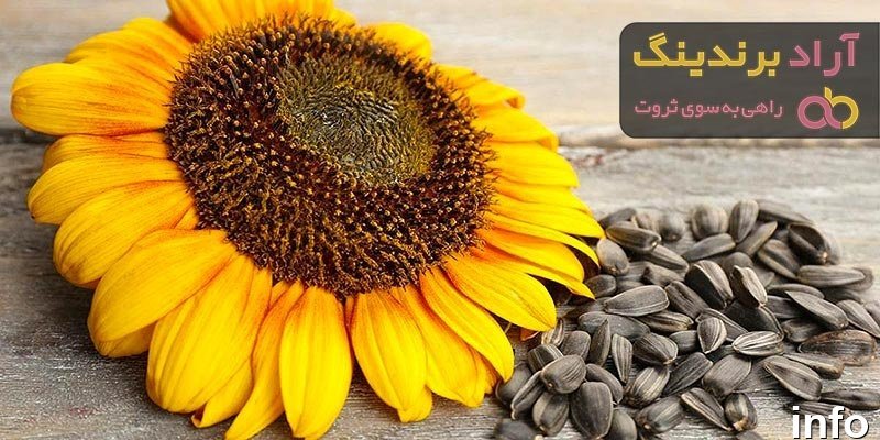قیمت تخمه آفتابگردان هیبریدی_8