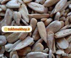 قیمت تخمه آفتابگردان چینی_1