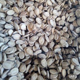 قیمت تخمه هندوانه بو داده_3