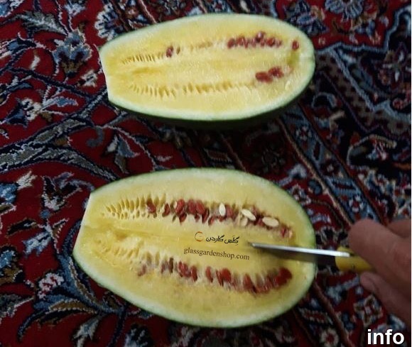 قیمت تخمه هندوانه ژاپنی_10