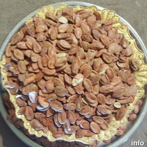 قیمت تخمه ژاپنی کیلویی_6