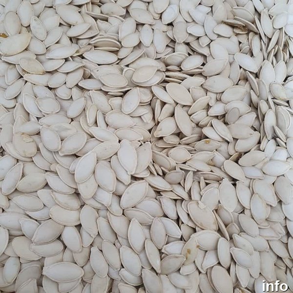 قیمت تخمه کدو حلوایی_6