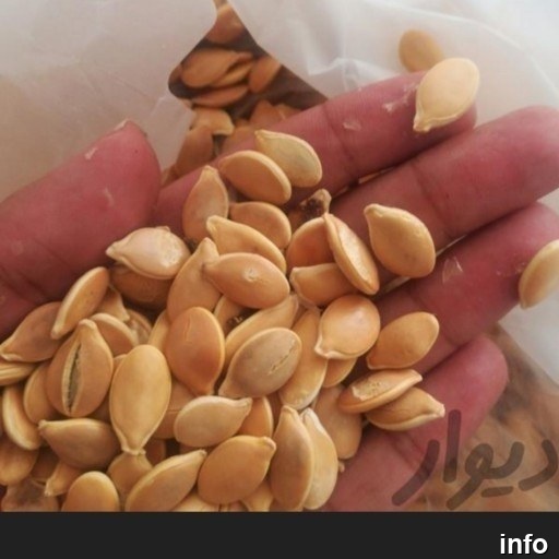 قیمت تخمه کدو حلوایی_9