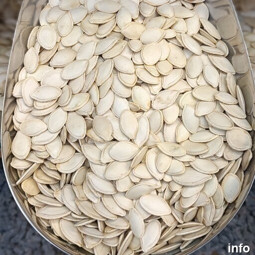 قیمت تخمه کدو درشت خام_6