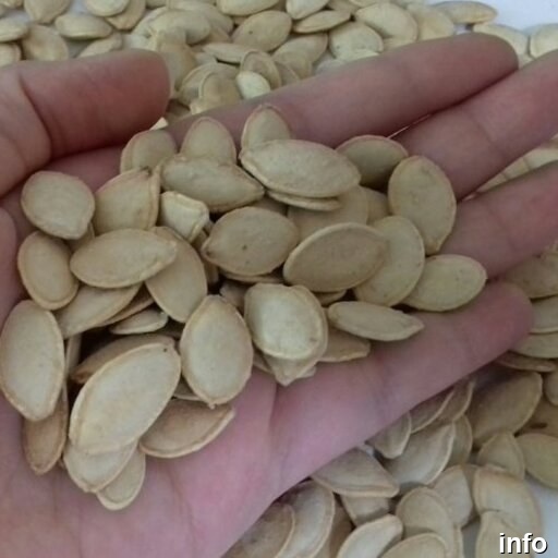 قیمت تخمه کدو درشت خام_9