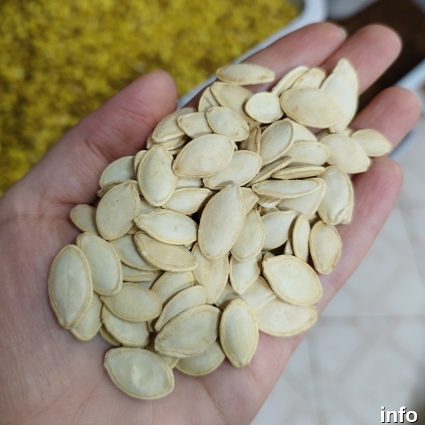 قیمت تخمه کدو سفید_1