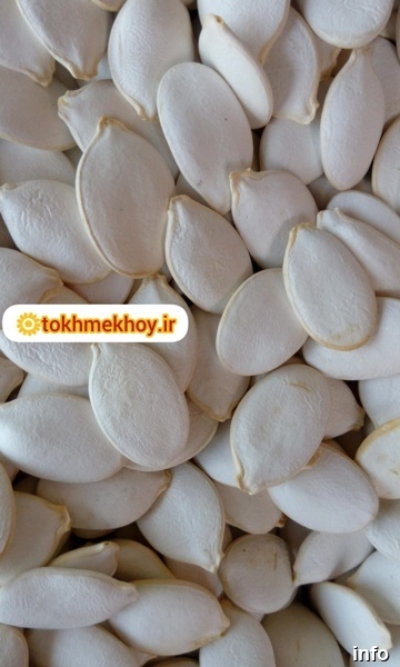 قیمت تخمه کدو سفید_3