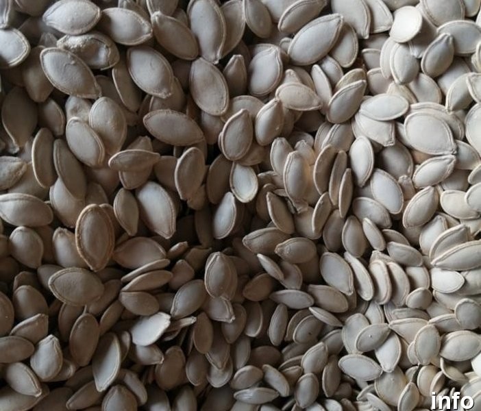 قیمت تخمه کدو سفید_7