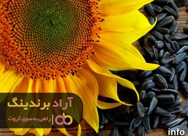قیمت جهانی تخمه آفتابگردان_6