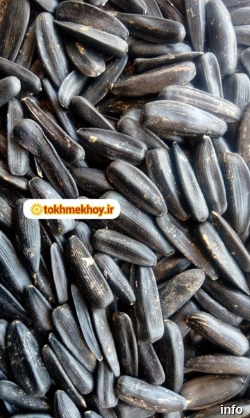 قیمت روز تخمه آفتابگردان خوی_6