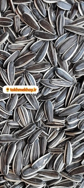 قیمت روز تخمه آفتابگردان خوی_7