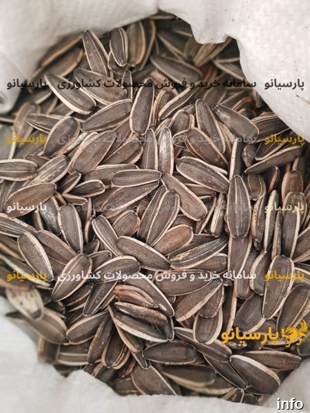 قیمت عمده تخمه آفتابگردان در شیراز_9