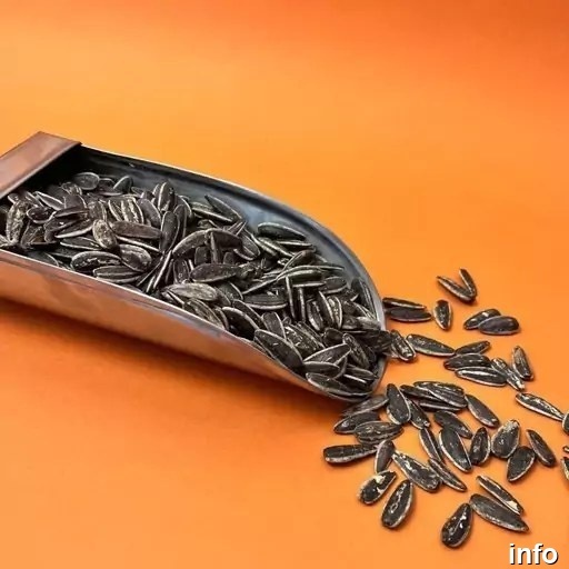 قیمت عمده تخمه آفتابگردان دور سفید_10