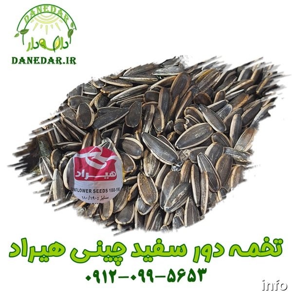 قیمت عمده تخمه آفتابگردان دور سفید_3
