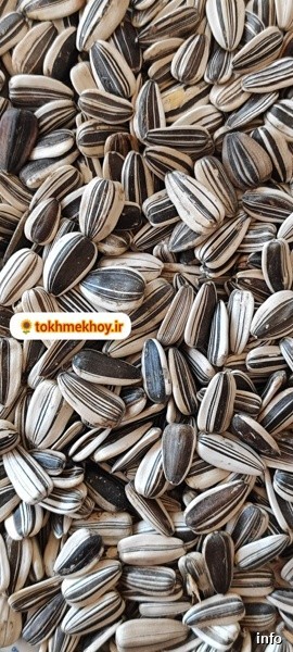 قیمت عمده تخمه آفتابگردان دور سفید_4