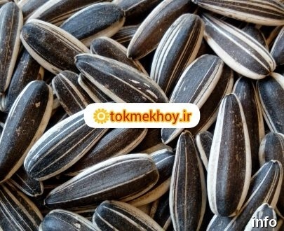 قیمت عمده تخمه آفتابگردان دور سفید_8