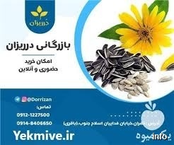 قیمت عمده تخمه آفتابگردان روغنی_1