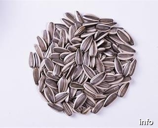 قیمت عمده تخمه ژاپنی_7