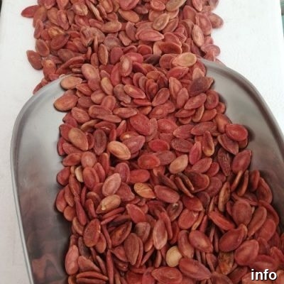 قیمت عمده تخمه ژاپنی خام_3