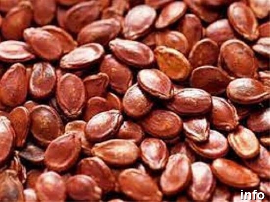 قیمت عمده تخمه ژاپنی خام_4