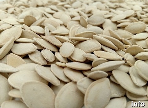 قیمت عمده تخمه کدو گوشتی_8