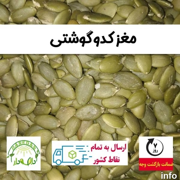 قیمت عمده تخمه کدو گوشتی_9