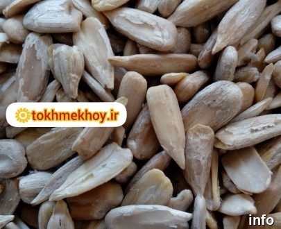قیمت مغز تخمه آفتابگردان بسته بندی_3