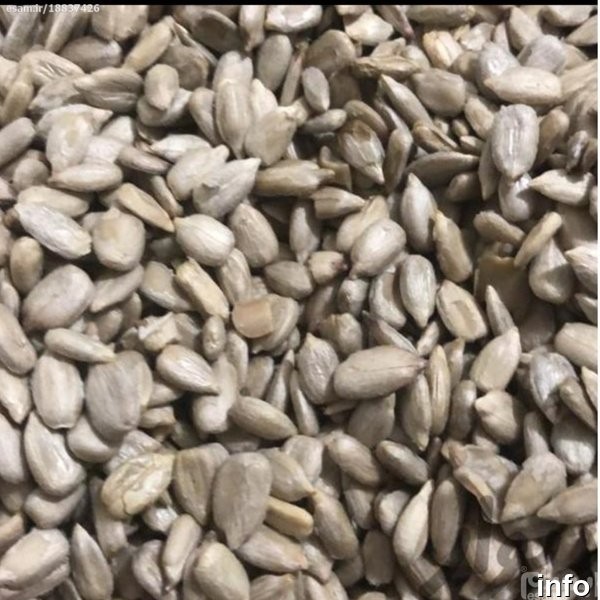 قیمت مغز تخمه آفتابگردان فله ای_2