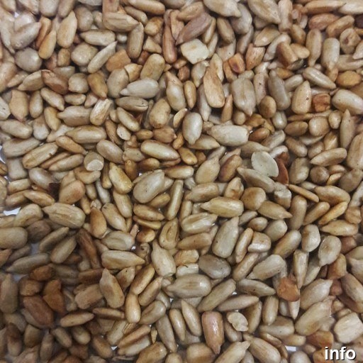 قیمت مغز تخمه آفتابگردان کیلویی_5