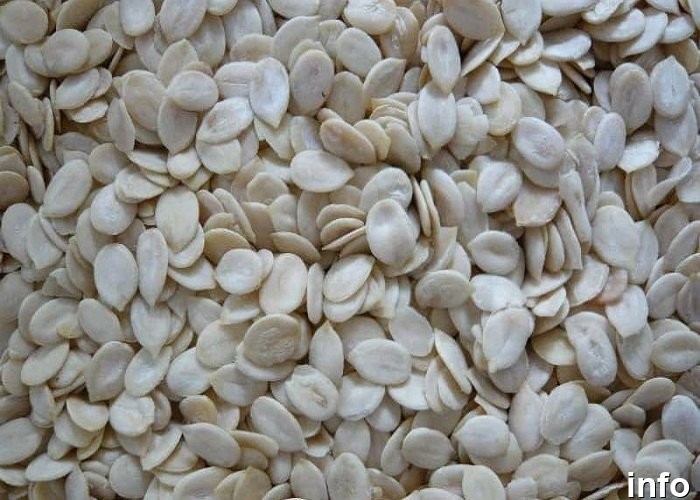 قیمت مغز تخمه ژاپنی_5