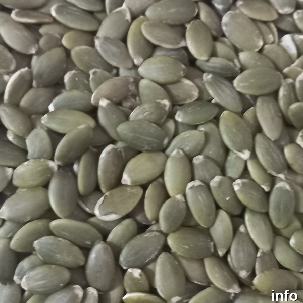 قیمت مغز تخمه کدو خام_10