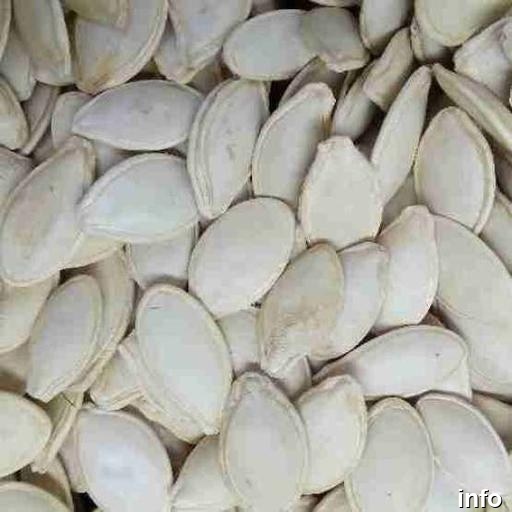 قیمت مغز تخمه کدو فله ای_4