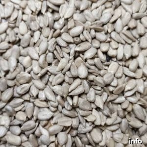 قیمت هر کیلو مغز تخمه آفتابگردان_7