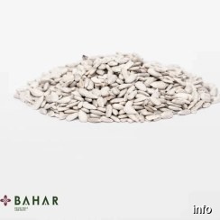 قیمت هر کیلو مغز تخمه آفتابگردان_9