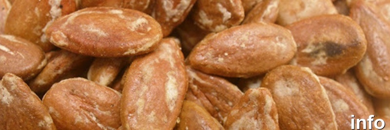 مراحل تولید تخمه ژاپنی_10