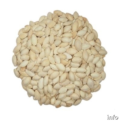 مرکز تخمه کدو در ایران_4