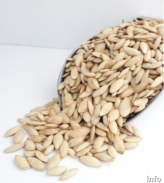 مرکز تخمه کدو در ایران_7
