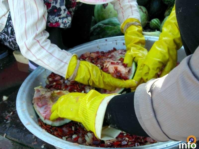 مرکز تولید تخمه ژاپنی در ایران_10