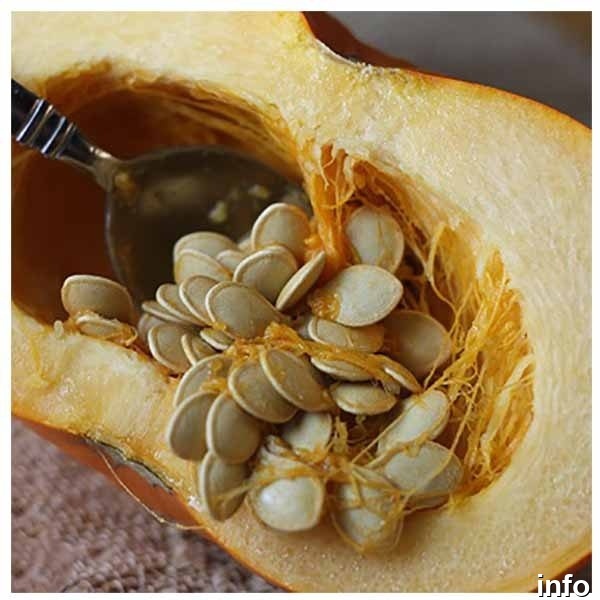 نحوه تولید تخمه کدو_3