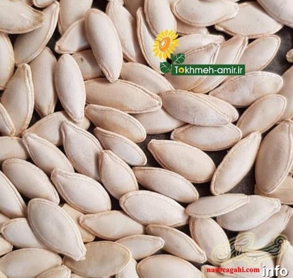 پخش تخمه آفتابگردان اصفهان_7